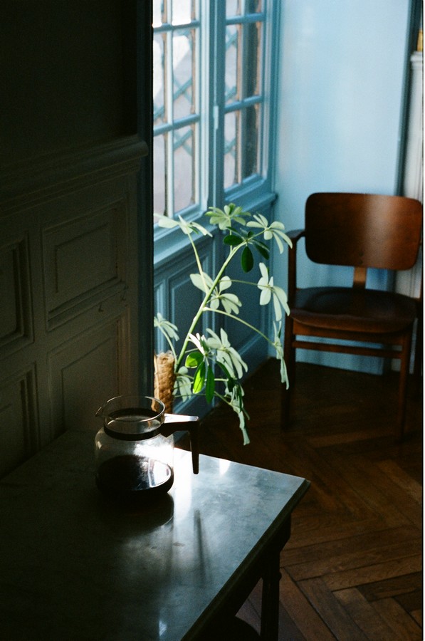 Vegetarian B&B in France (10)